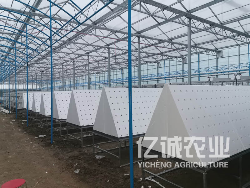 薯類作物的溫室大棚怎么建設？造價高不高？